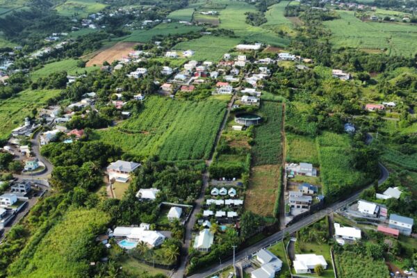 PHOTO-2026-03-01-14-19-551